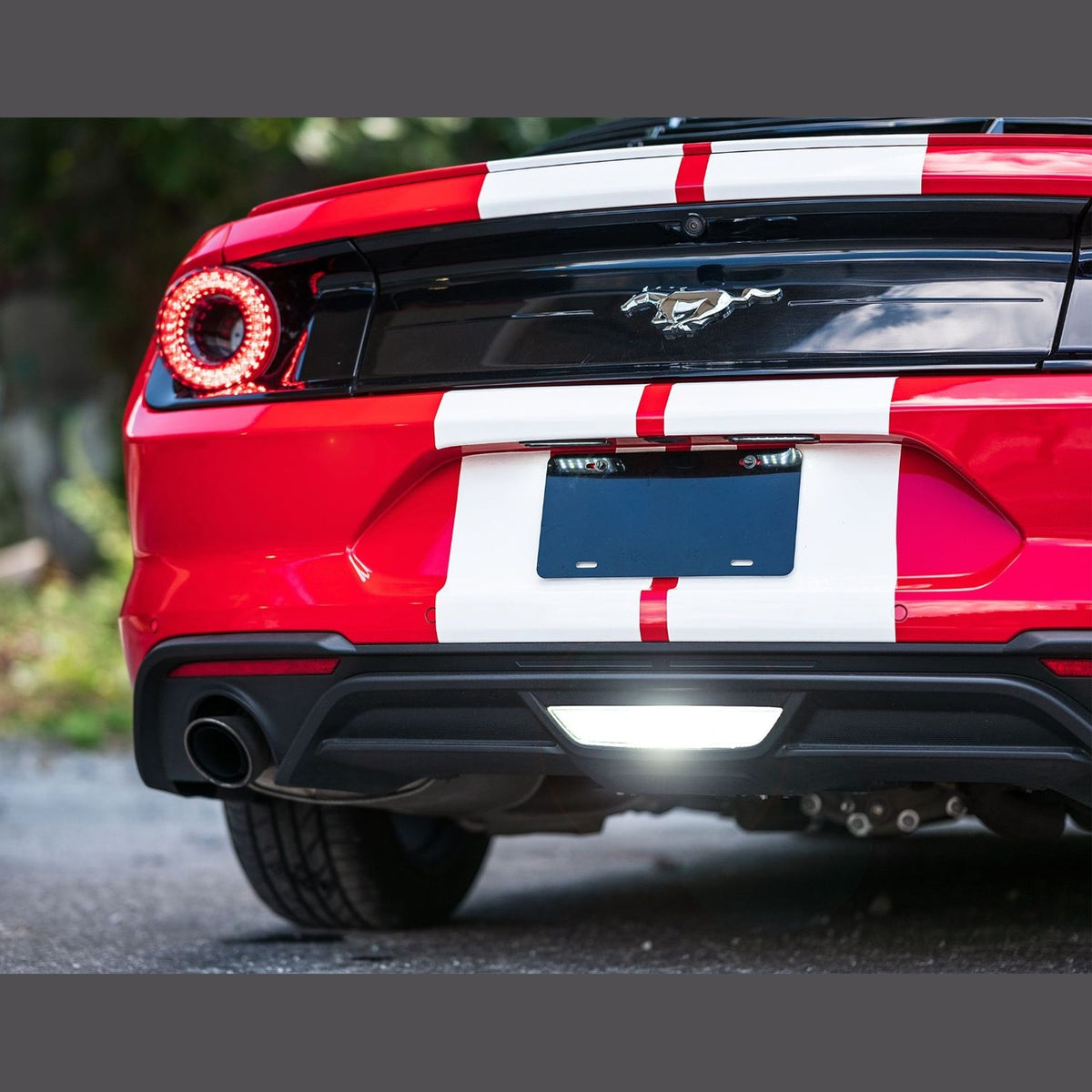 XB LED License Plate Lights: Ford Mustang (15-20 / Set)