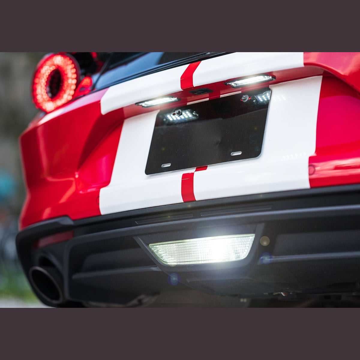 XB LED License Plate Lights: Ford Mustang (15-20 / Set)