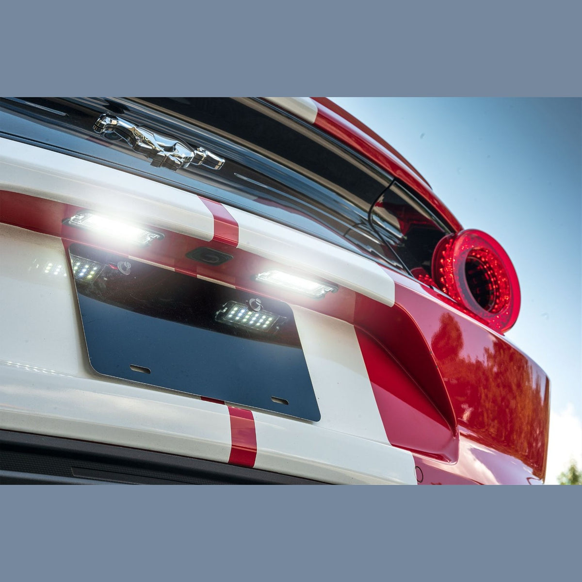 XB LED License Plate Lights: Ford Mustang (15-20 / Set)