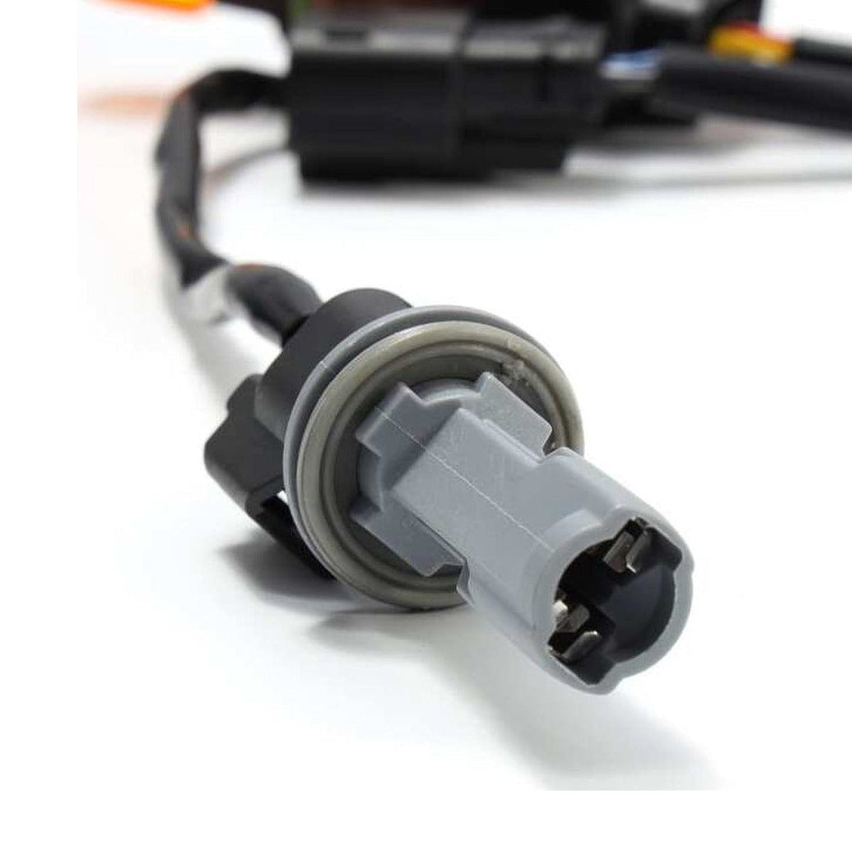 AlphaRex AlphaRex 18-20 Ford F-150 Lariat Wiring Adapter Stock Proj Headlight to AlphaRex Headlight Converter
