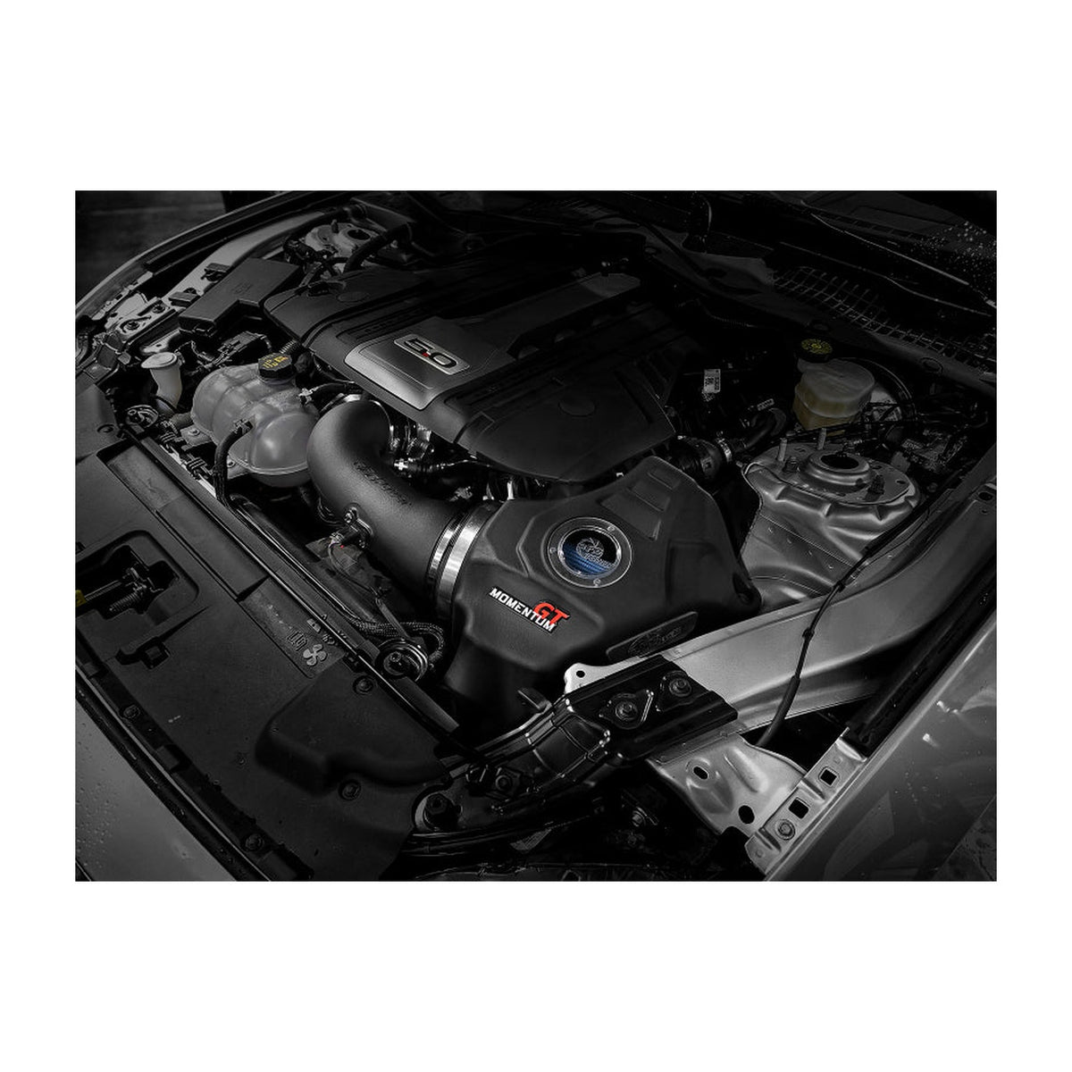 aFe aFe Momentum GT Pro 5R Cold Air Intake System 18-19 Ford Mustang GT 5.0L V8, installed