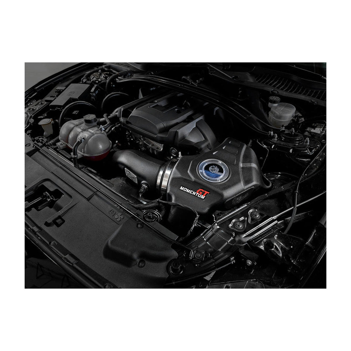aFe aFe Momentum GT CAIS w/ Pro 5R Media 18-19 Ford Mustang L4-2.3L (t) EcoBoost, installed