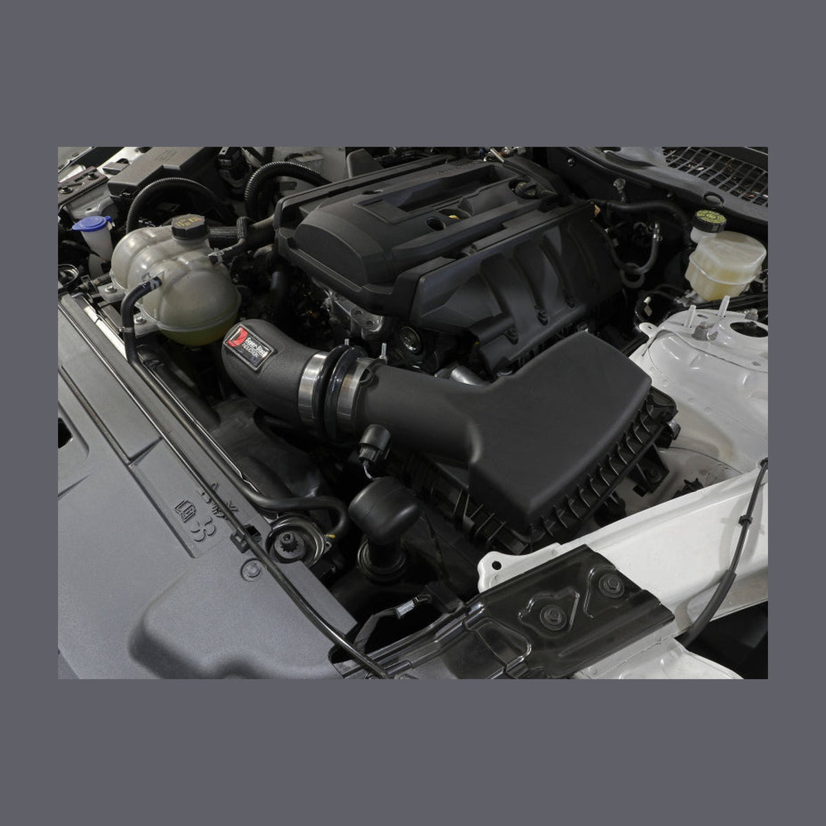 aFe aFe Super Stock Induction System Pro Dry S Media 15-20 Ford Mustang L4-2.3L (t), installed