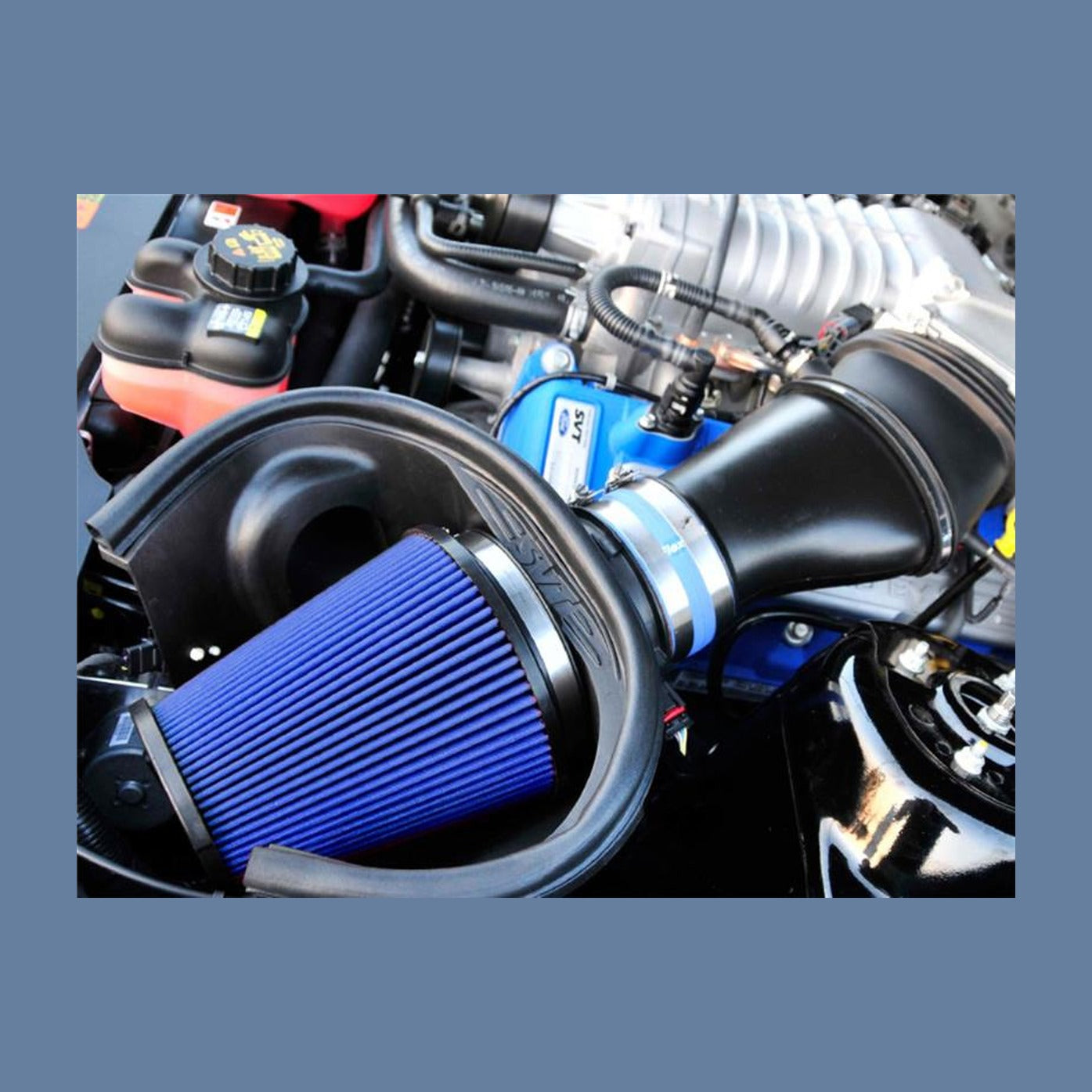 Airaid Airaid 10-14 Ford Mustang Shelby 5.4L Supercharged Direct Replacement Filter - Dry / Blue Media