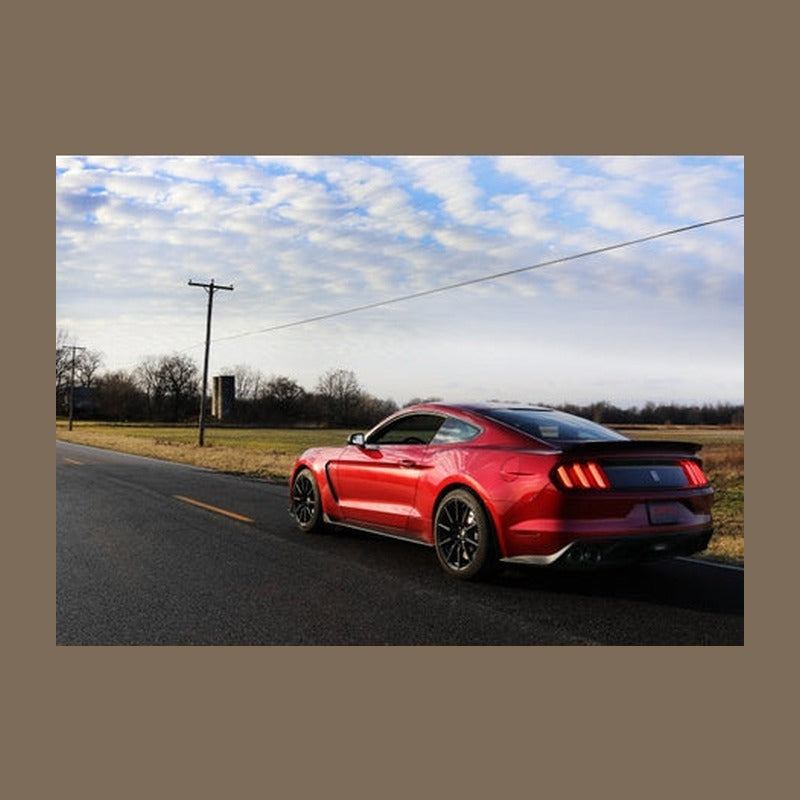 CORSA Performance Corsa 2015-2020 Ford Mustang GT350 3in Double X Pipe Exhaust