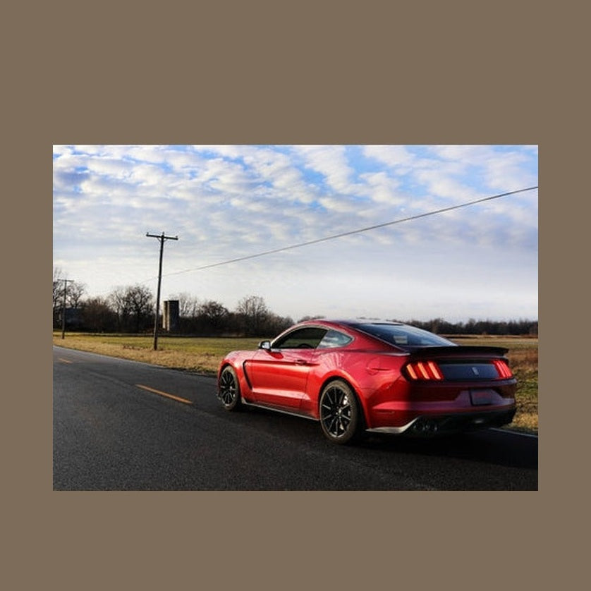 CORSA Performance Corsa 2015-2020 Ford Mustang GT350 3in Double X Pipe Exhaust