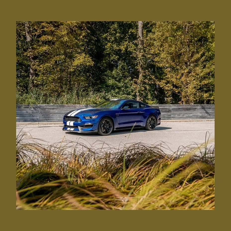 CORSA Performance Corsa 2015-2020 Ford Mustang GT350/R 5.2L V8 Dual Rear Cat-Back- Stainless Dual Rear Exit, installed