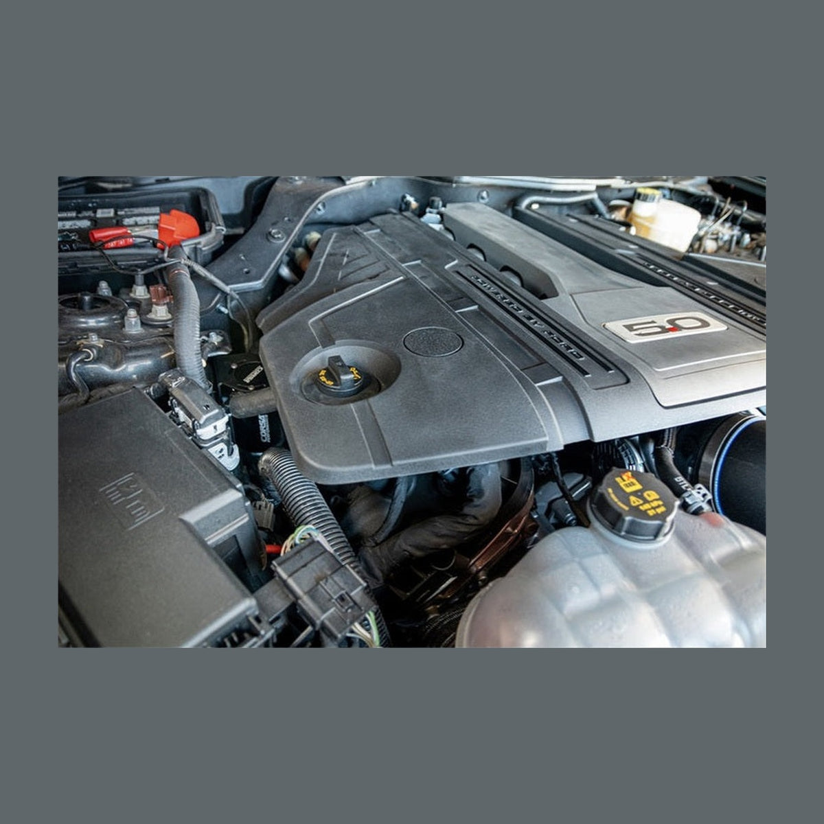 CORSA Performance Corsa 2018-2023 Ford Mustang GT 5.0L V8 Oil Catch Can, installed