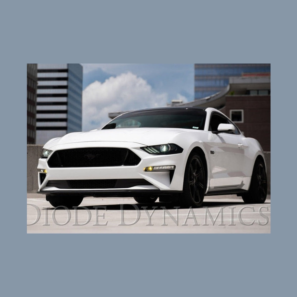 Diode Dynamics Diode Dynamics Elite Series Combination Fog Lamp for 18-21 Ford Mustang - Cool - White (Pair)