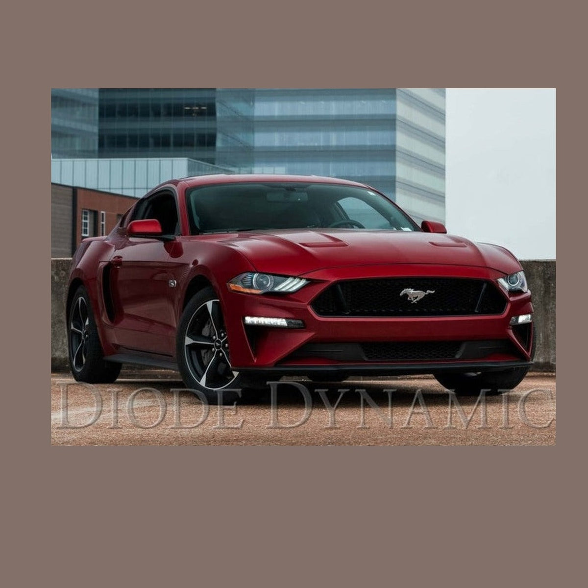Diode Dynamics Diode Dynamics Elite Series Combination Fog Lamp for 18-21 Ford Mustang - Cool - White (Pair)
