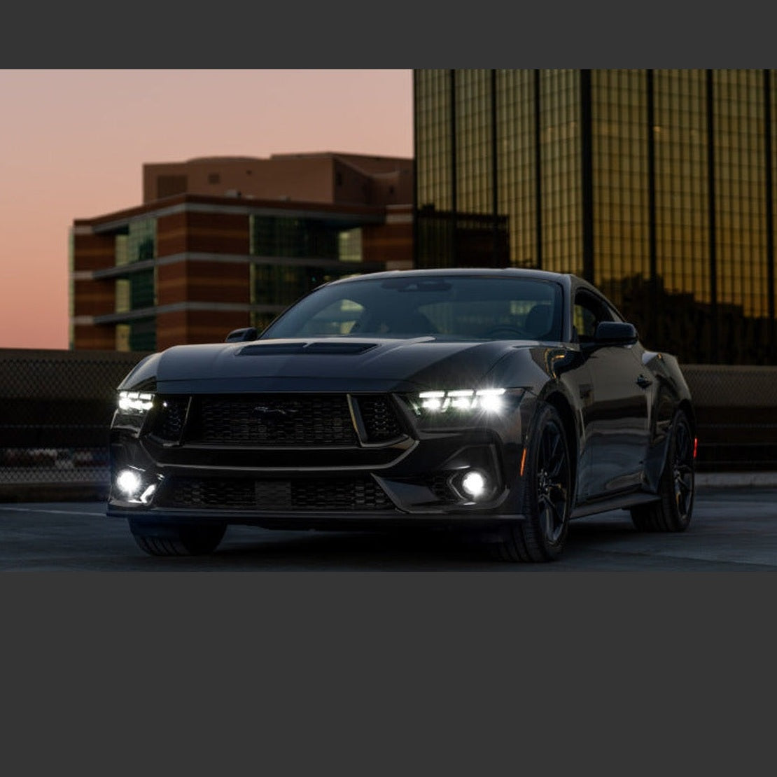 Diode Dynamics Diode Dynamics 2024 Ford Mustang GT Elite Series Add-On Fog Lamp Kit White