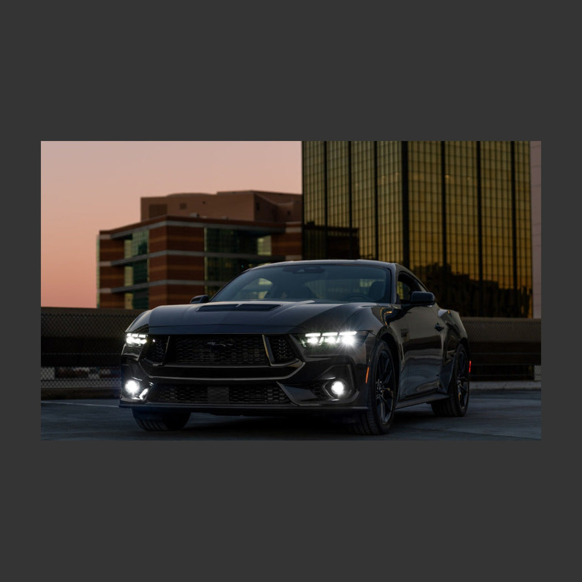 Diode Dynamics Diode Dynamics 2024 Ford Mustang GT Elite Series Add-On Fog Lamp Kit White