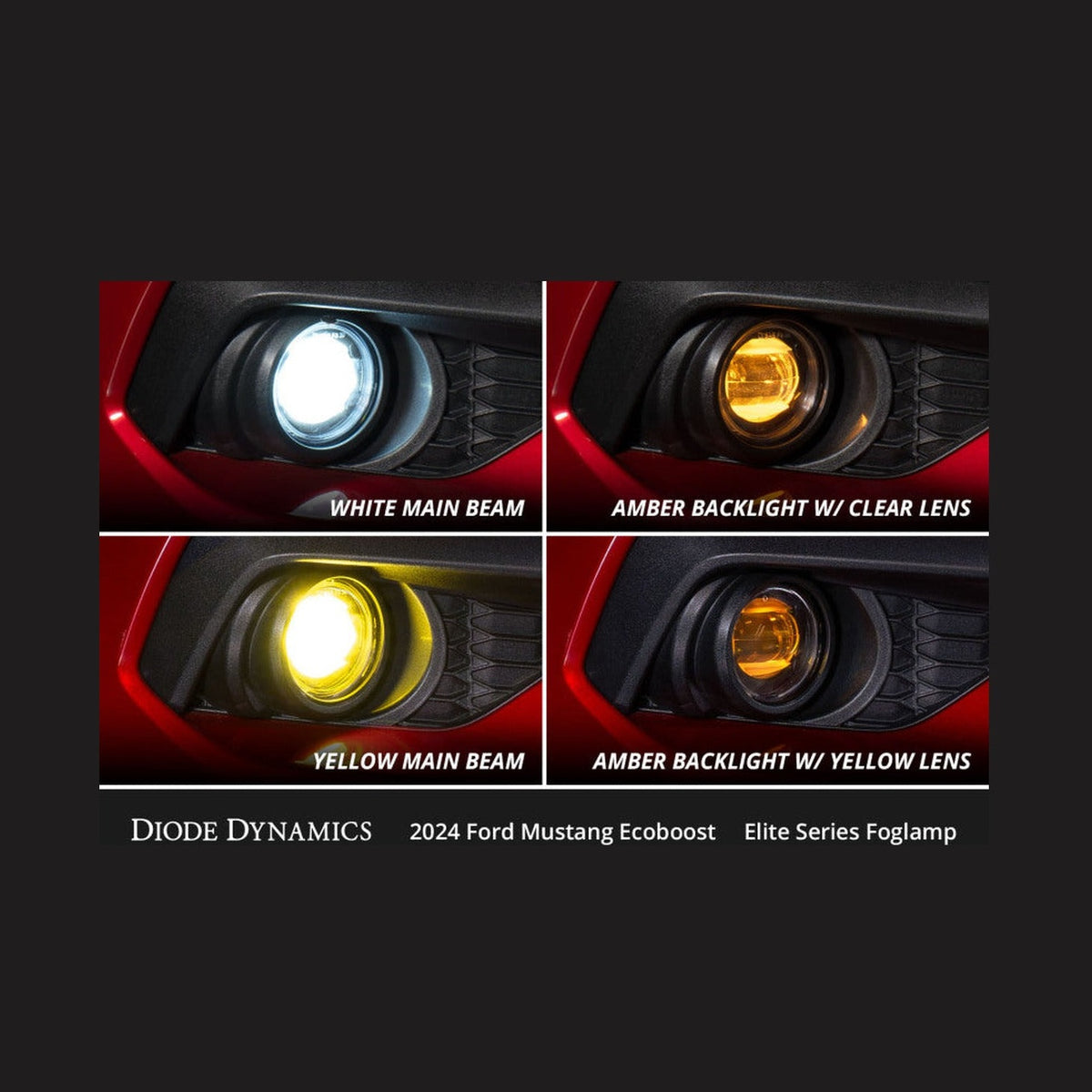Diode Dynamics Diode Dynamics 2024 Ford Mustang GT Elite Series Add-On Fog Lamp Kit White