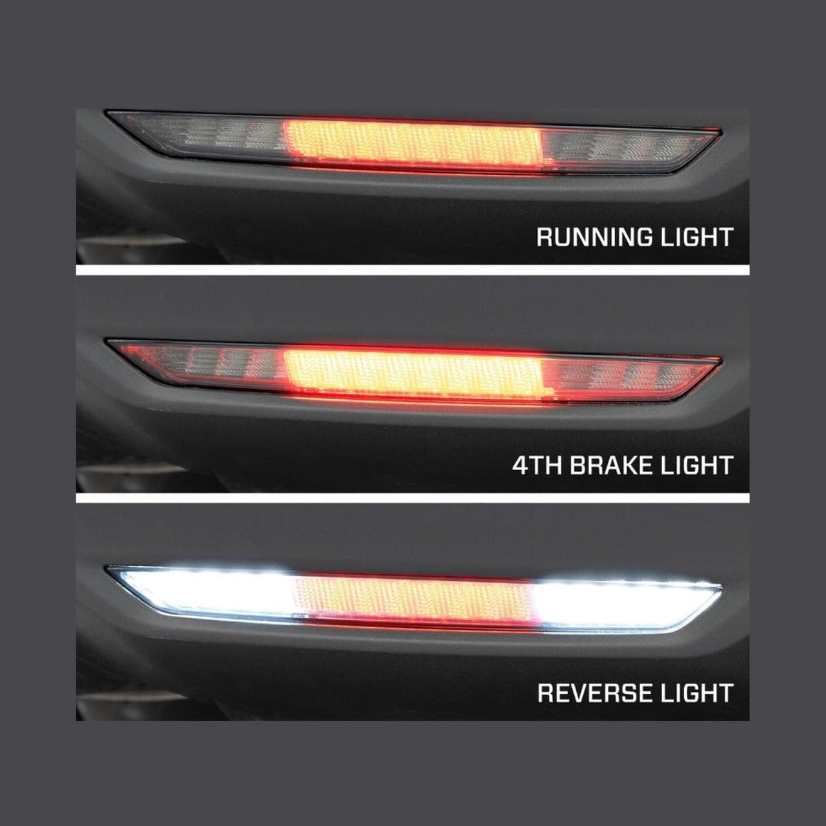 FORM Lighting Form Lighting 2024+ Mustang LED Reverse Lamp Smoked