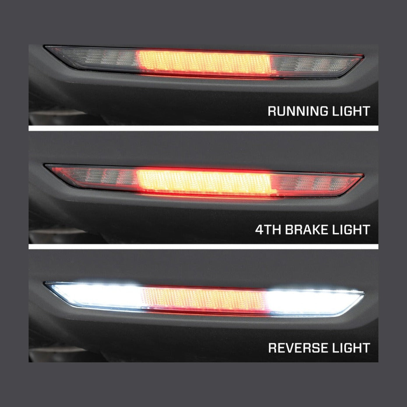 FORM Lighting Form Lighting 2024+ Mustang LED Reverse Lamp Smoked
