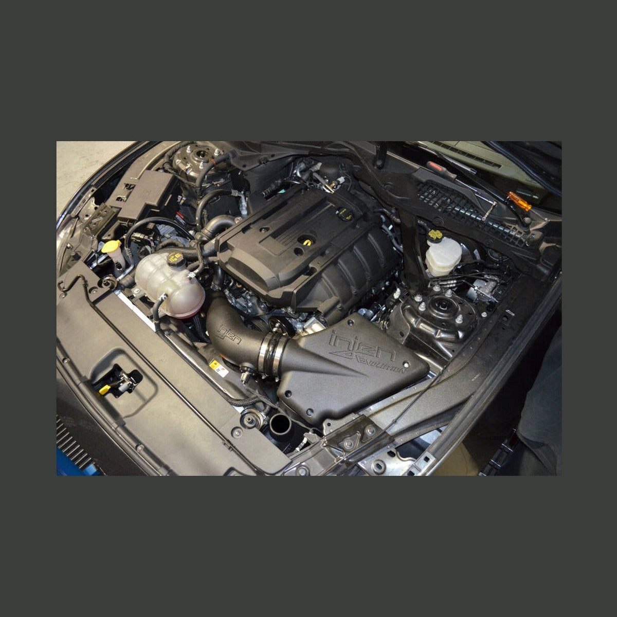 Injen Injen 15-19 Ford Mustang EcoBoost 2.3L L4 Evolution Intake, installed