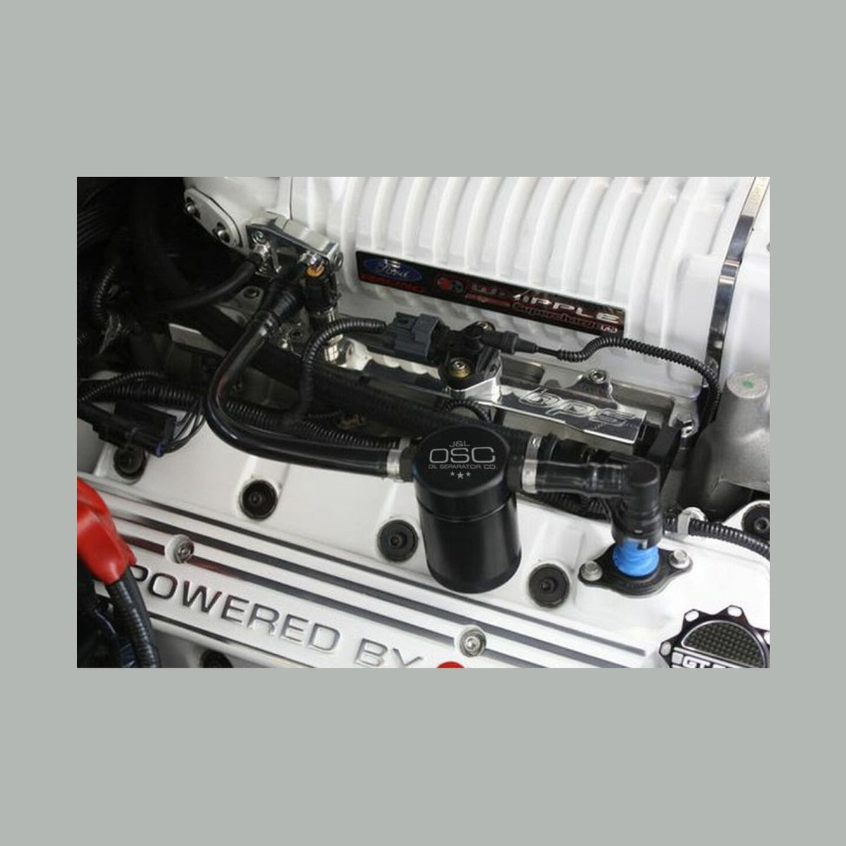 J&L J&L 07-14 Ford Mustang GT500 Passenger Side Oil Separator 3.0 - Black Anodized, installed