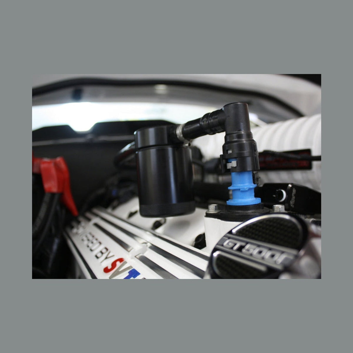 J&L J&L 07-14 Ford Mustang GT500 Passenger Side Oil Separator 3.0 - Black Anodized, installed