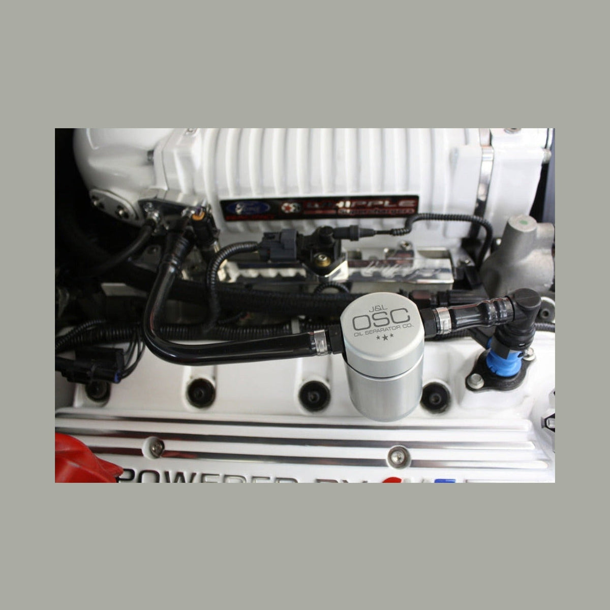 J&L J&L 07-14 Ford Mustang GT500 Passenger Side Oil Separator 3.0 - Clear Anodized, installed