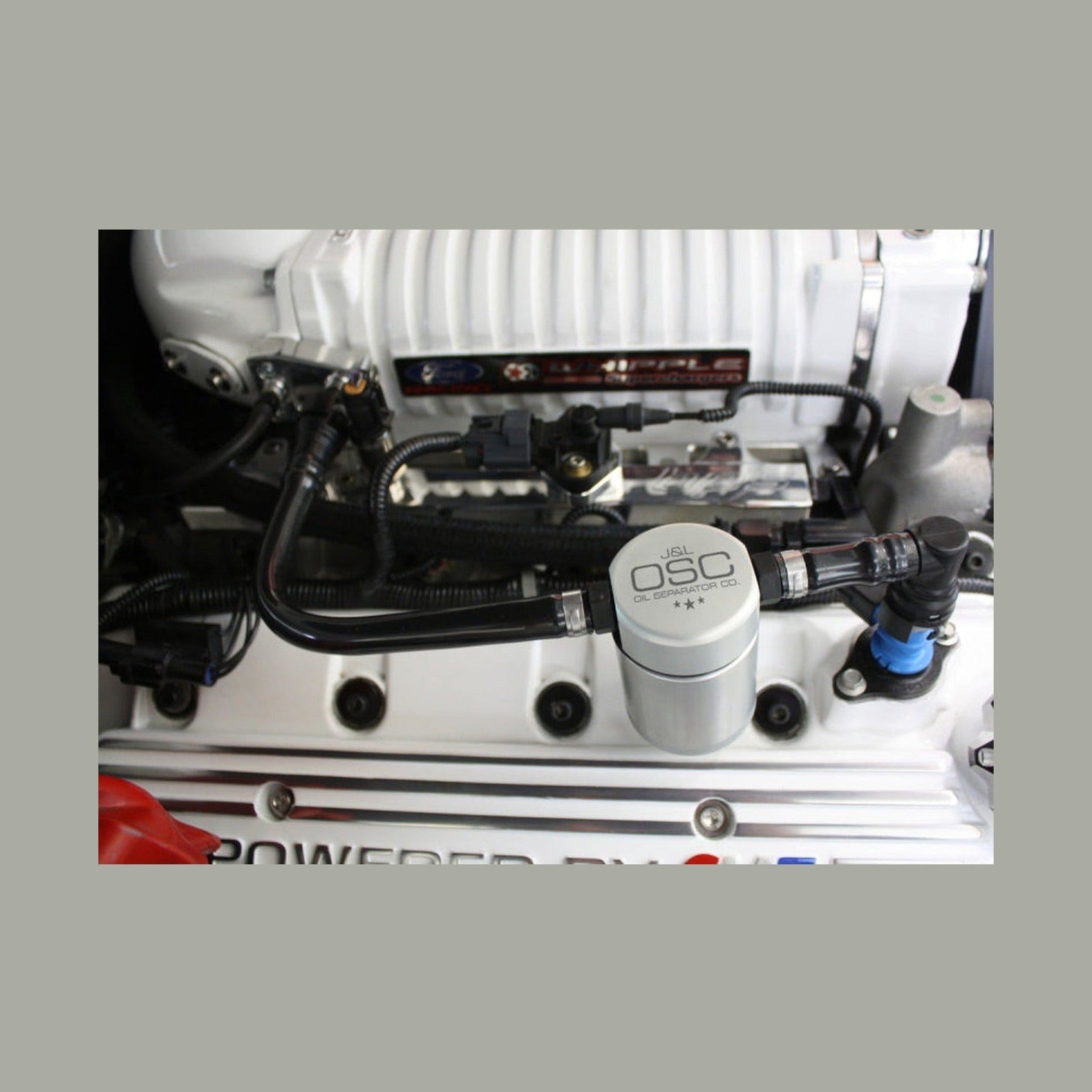 J&L J&L 07-14 Ford Mustang GT500 Passenger Side Oil Separator 3.0 - Clear Anodized, installed