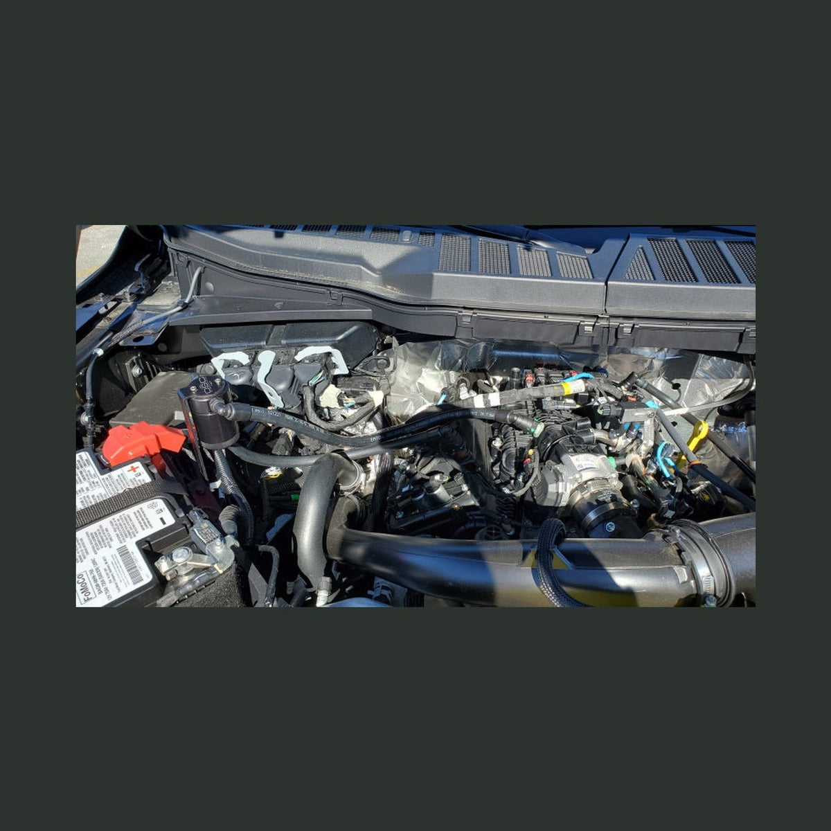 J&L J&L 2011-2025 Ford F-150 2.7L/3.5L/5.0L Passenger Side Oil Separator 3.0 - Black Anodized, installed