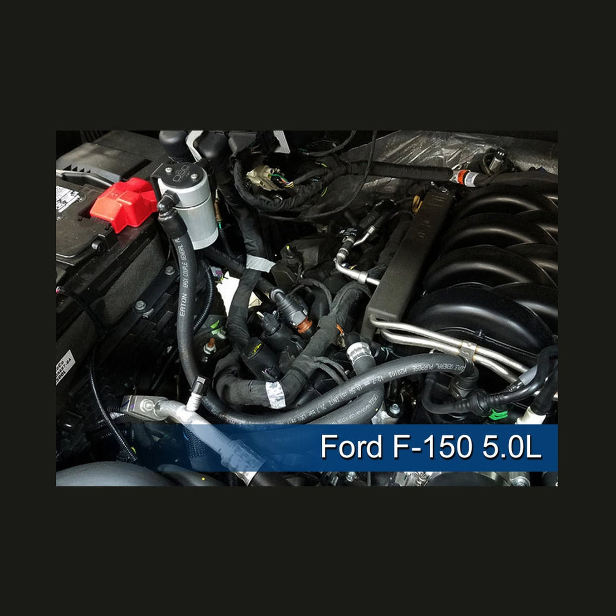 J&L J&L 2011-2025 Ford F-150 2.7L/3.5L/5.0L Passenger Side Oil Separator 3.0 - Clear Anodized, installed