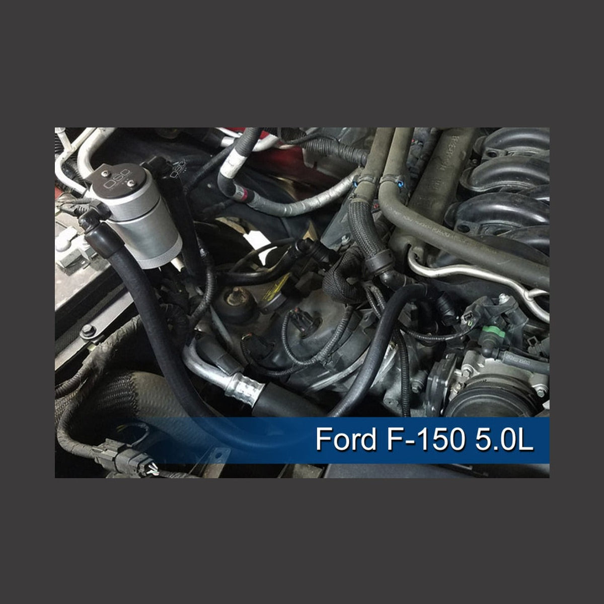 J&L J&L 2011-2025 Ford F-150 2.7L/3.5L/5.0L Passenger Side Oil Separator 3.0 - Clear Anodized, installed