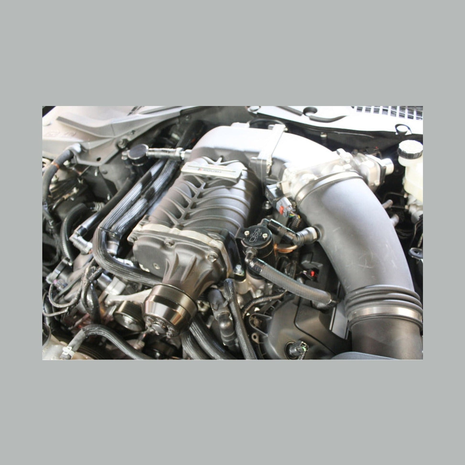 J&L J&L 11-17 Ford Mustang GT (w/Roush/VMP Supercharger) Driver Side Oil Separator 3.0 - Black Anodized, installed