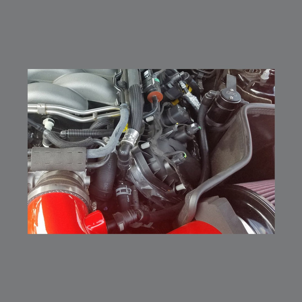 J&L J&L 2018-2023 Ford Mustang GT Driver Side Oil Separator 3.0 - Black Anodized, installed