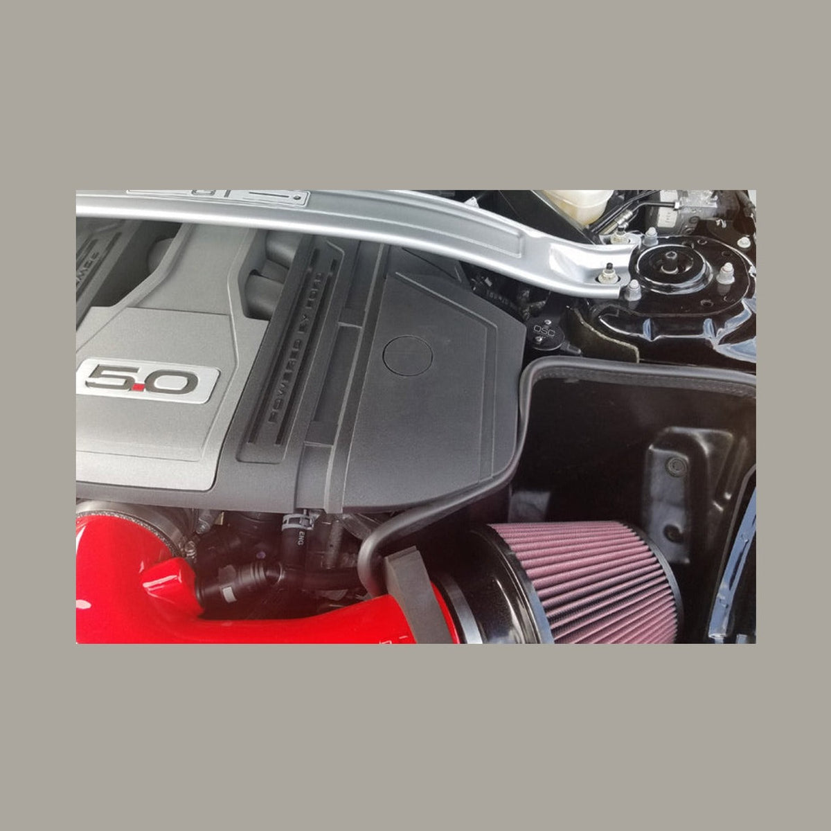 J&L J&L 2018-2023 Ford Mustang GT Driver Side Oil Separator 3.0 - Black Anodized, installed