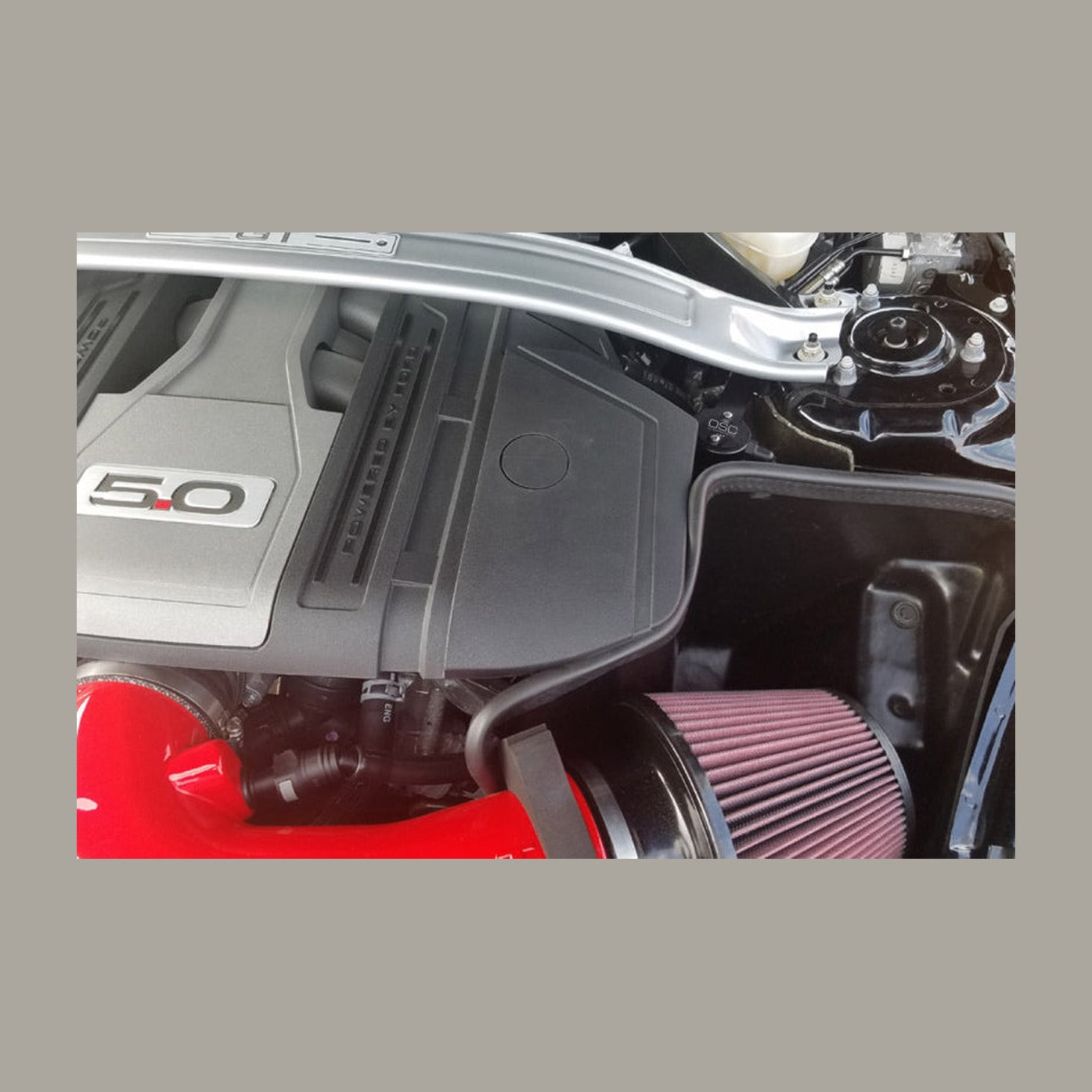 J&L J&L 2018-2023 Ford Mustang GT Driver Side Oil Separator 3.0 - Black Anodized, installed