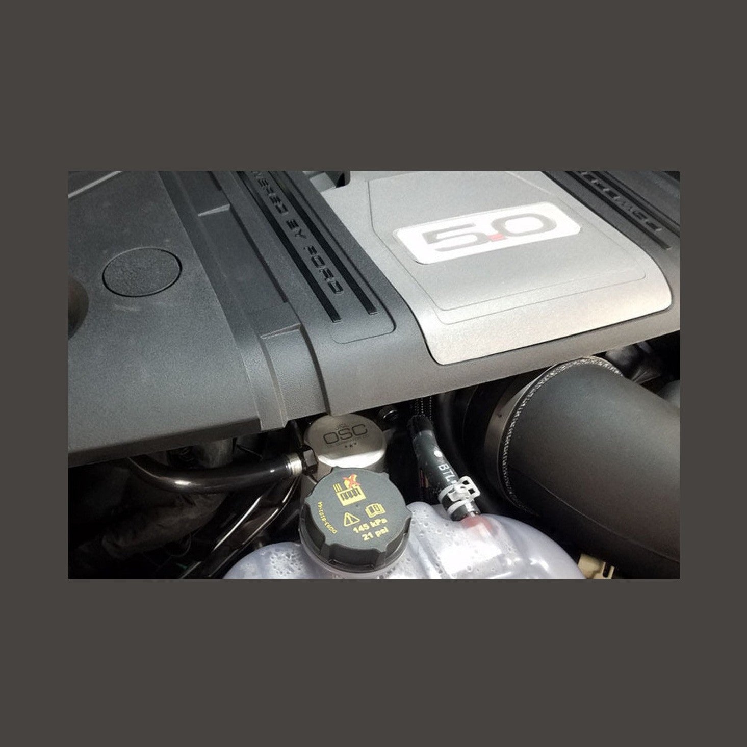 J&L J&L 2018-2023 Ford Mustang GT Passenger Side Oil Separator 3.0 - Clear Anodized