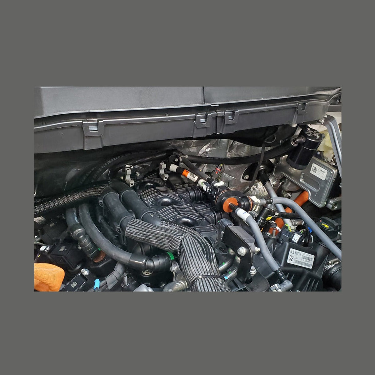 J&L J&L 2021-2025 Ford F-150 3.5L Passenger Side Oil Separator 3.0 - Black Anodized, installed