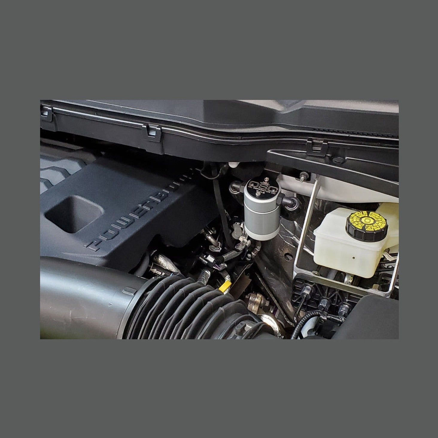 J&L J&L 2021-2025 Ford F-150 3.5L Passenger Side Oil Separator 3.0 - Clear Anodized
