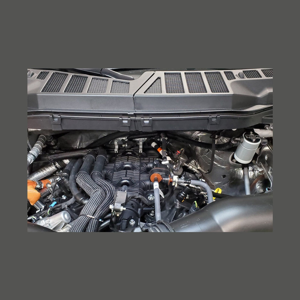 J&L J&L 2021-2025 Ford F-150 3.5L Passenger Side Oil Separator 3.0 - Clear Anodized