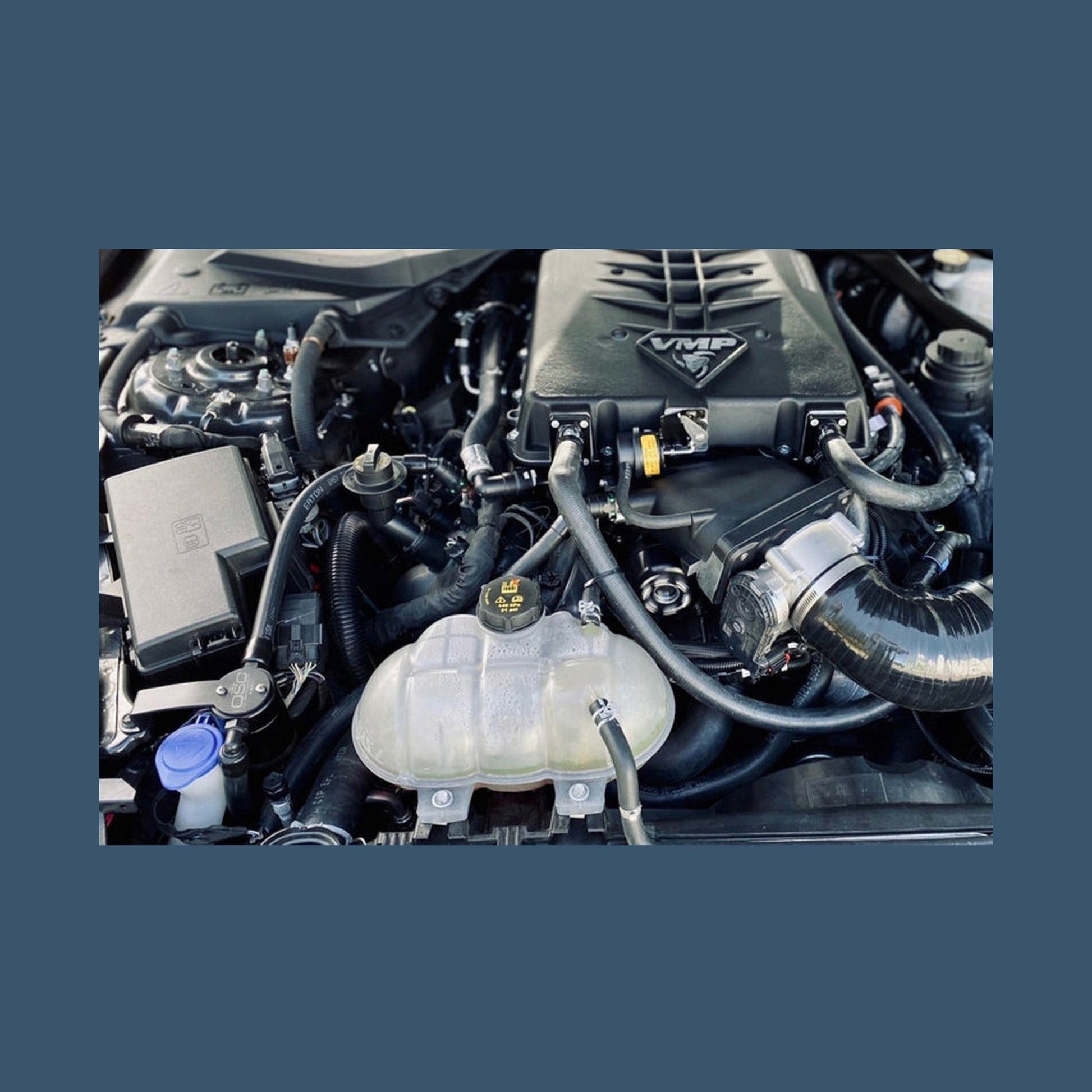 J&L J&L 15-23 Ford Mustang GT/15-20 Ford Mustang GT350 Passenger Side Oil Separator 3.0 - Black Anodized, installed