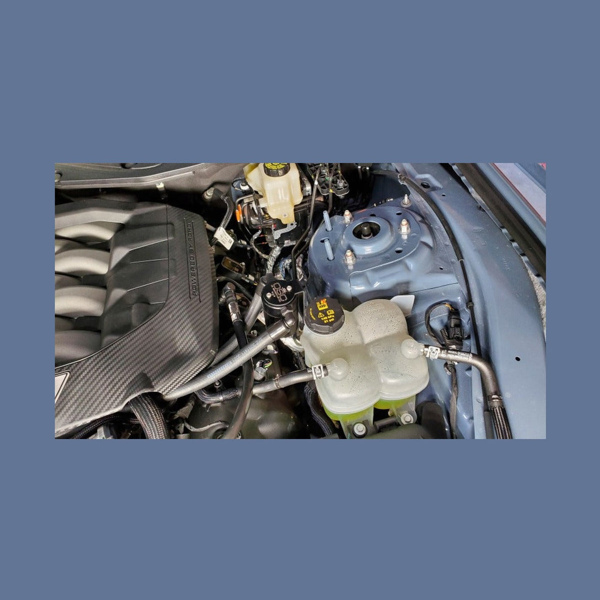 J&L J&L 2024-2025 Ford Mustang 5.0L Oil Separator 3.0 PCV Side - Black Anodized, installed
