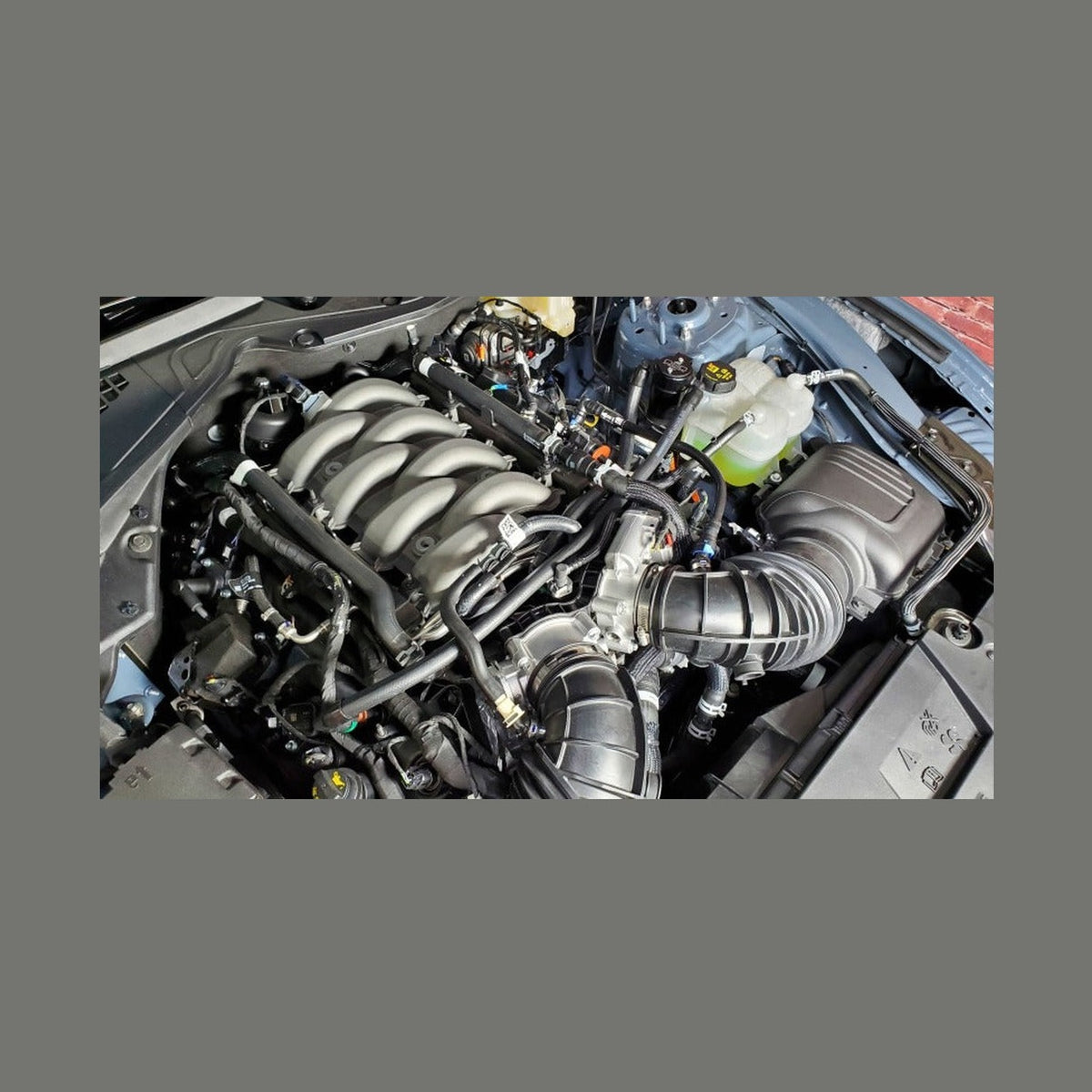 J&L J&L 2024-2025 Ford Mustang 5.0L Oil Separator 3.0 PCV Side - Black Anodized, installed