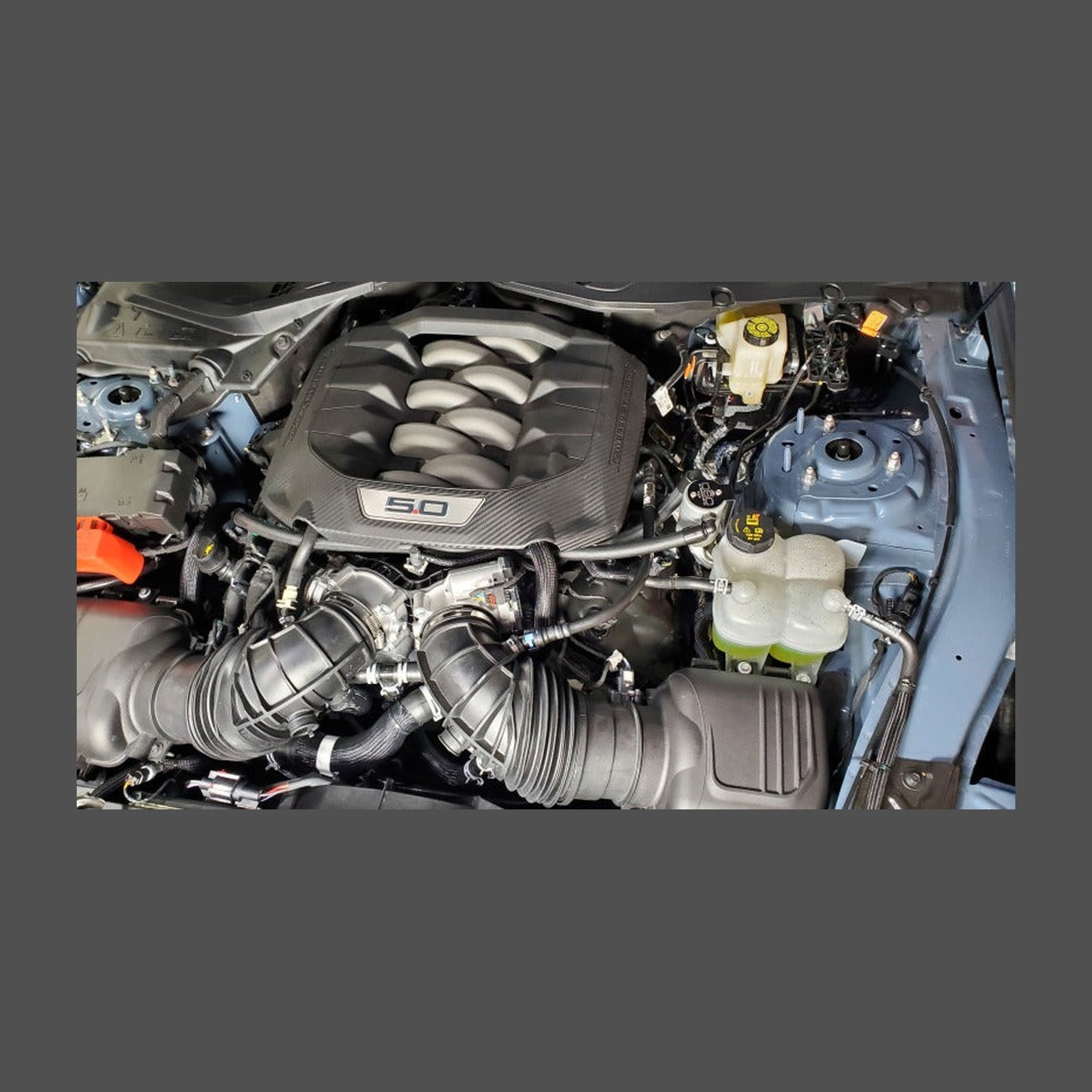 J&L J&L 2024-2025 Ford Mustang 5.0L Oil Separator 3.0 PCV Side - Clear Anodized, installed