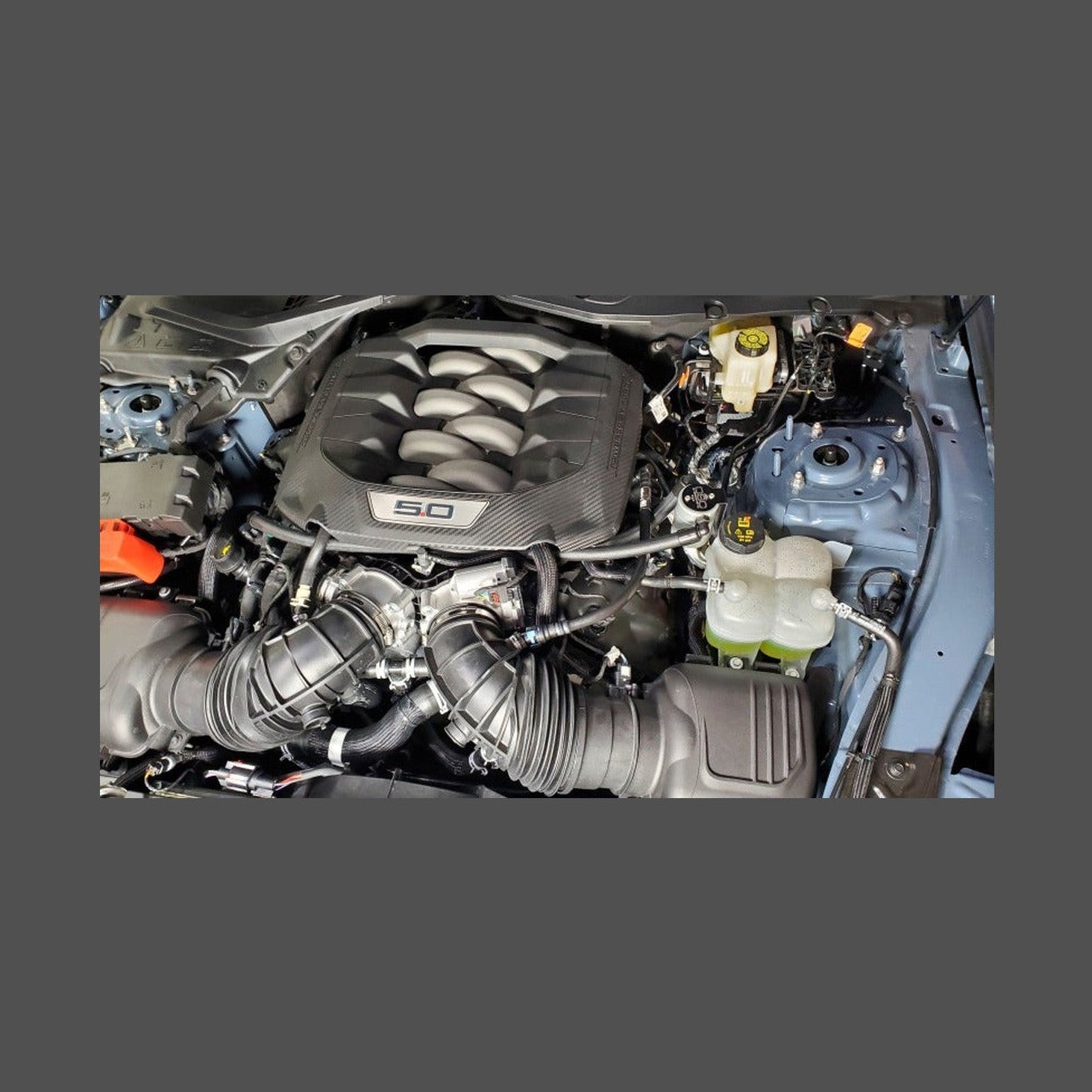 J&L J&L 2024-2025 Ford Mustang 5.0L Oil Separator 3.0 PCV Side - Clear Anodized, installed
