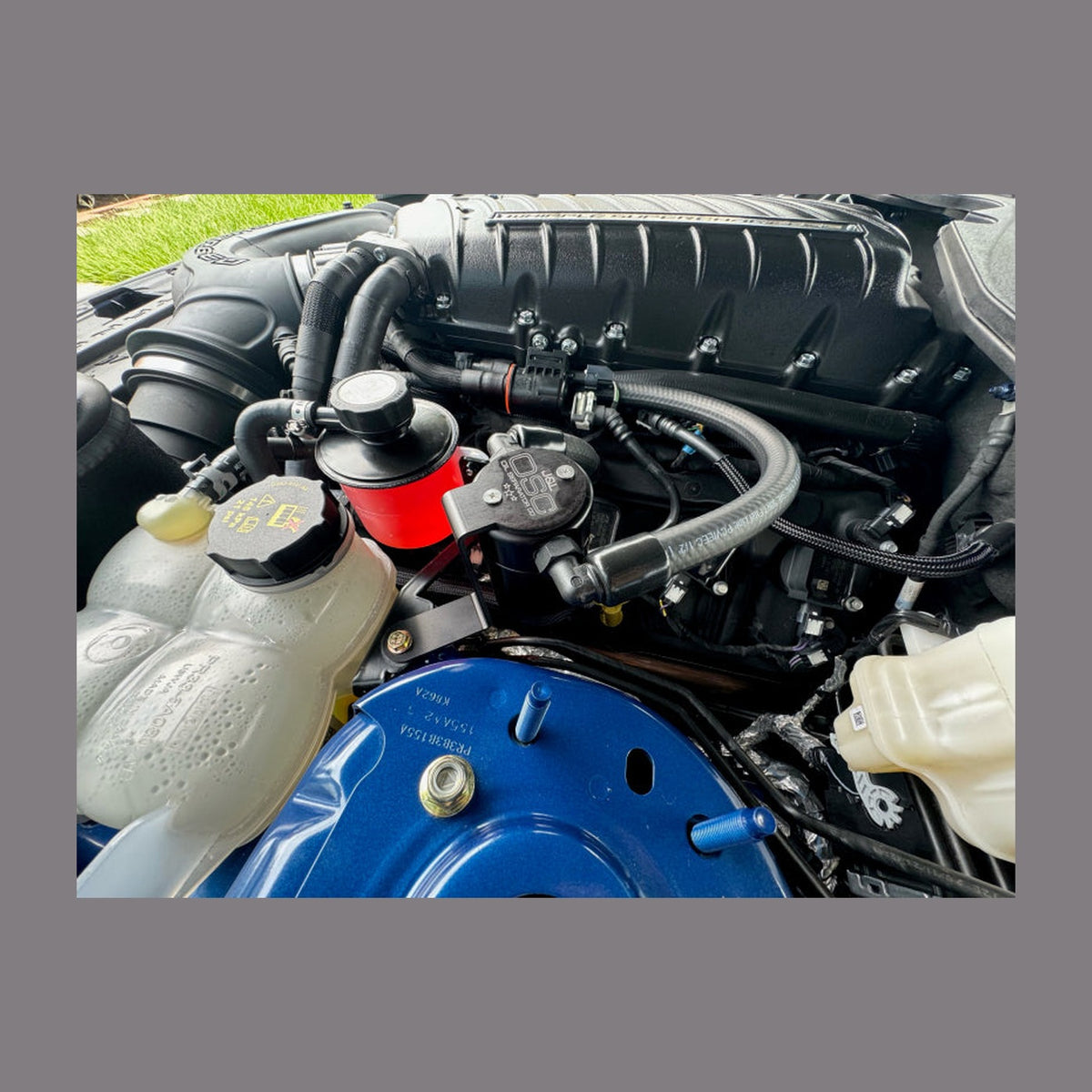 J&L J&L 24+ Ford Mustang 5.0L (w/ Whipple Supercharger) Oil Separator - 3.0 CCV Side Black Anodized, installed