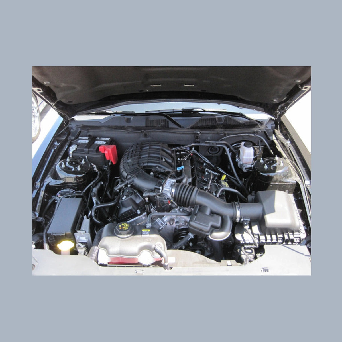 K&N Engineering K&N 10 Ford Mustang GT 4.6L-V8 Drop In Air Filter, installed