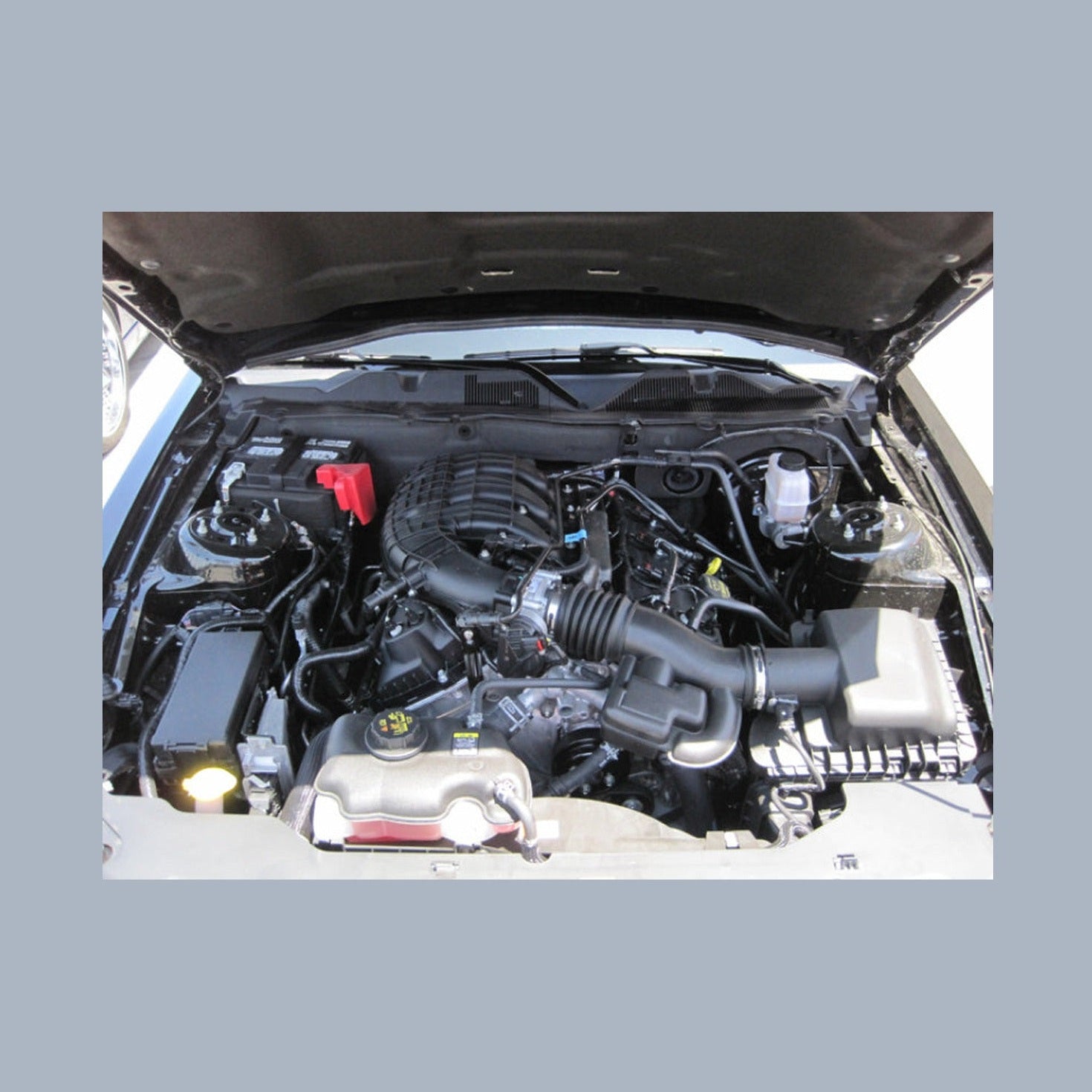 K&N Engineering K&N 10 Ford Mustang GT 4.6L-V8 Drop In Air Filter, installed
