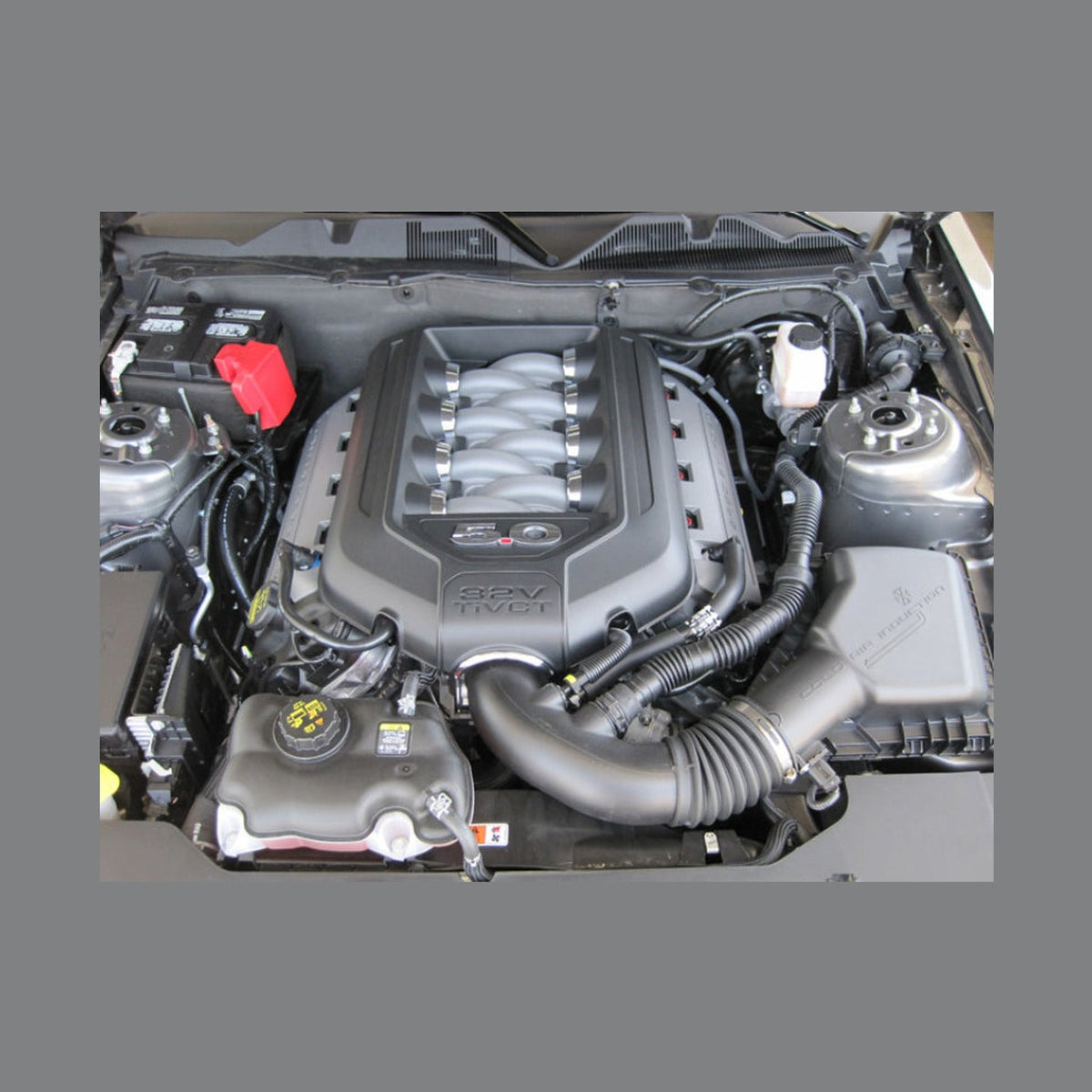 K&N Engineering K&N 10 Ford Mustang GT 4.6L-V8 Drop In Air Filter, installed