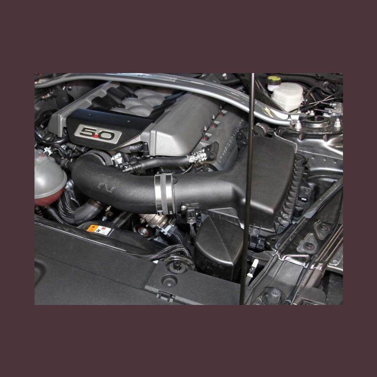 K&N Engineering K&N 2015 Ford Mustang V8-5.0L Performance Air Intake System, installed