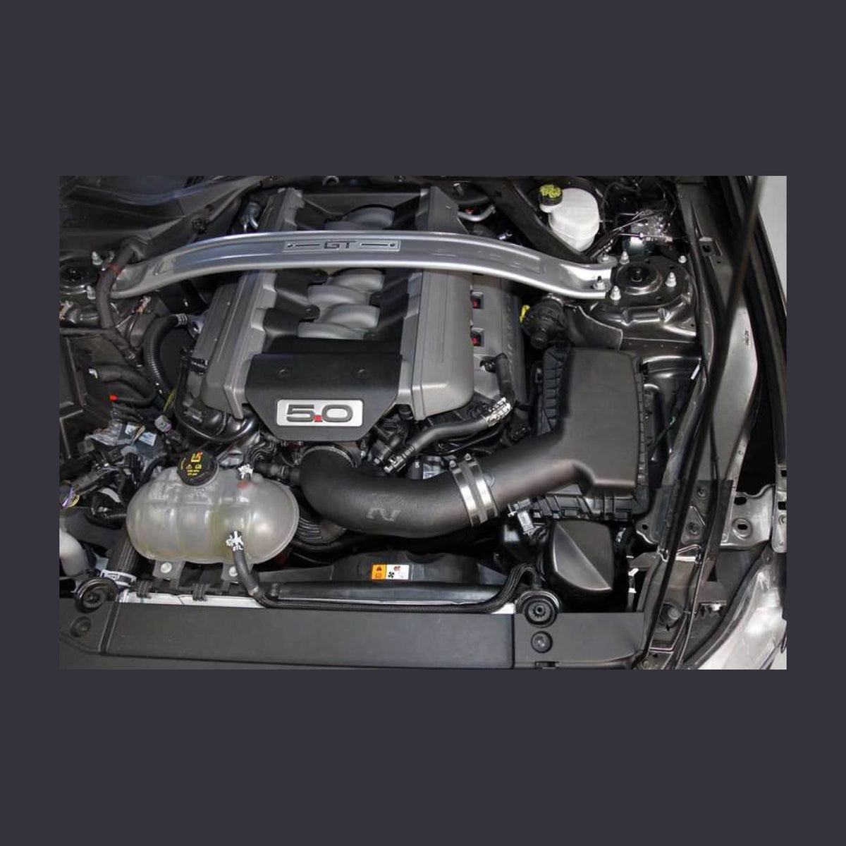 K&N Engineering K&N 2015 Ford Mustang V8-5.0L Performance Air Intake System, installed