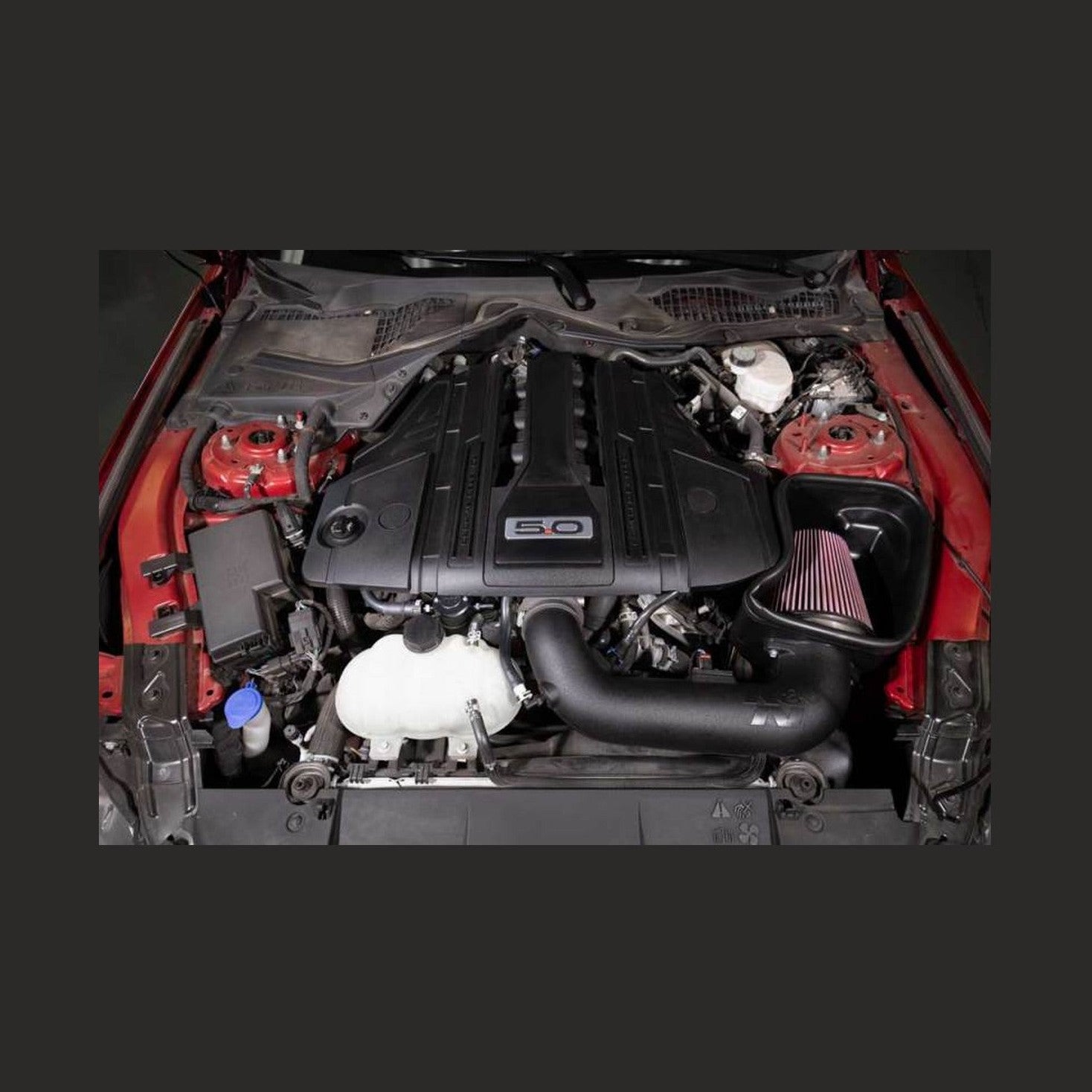K&N Engineering K&N 18-23 Ford Mustang GT 5.0L V8 (Gas) Catch Can Oil Separator, installed