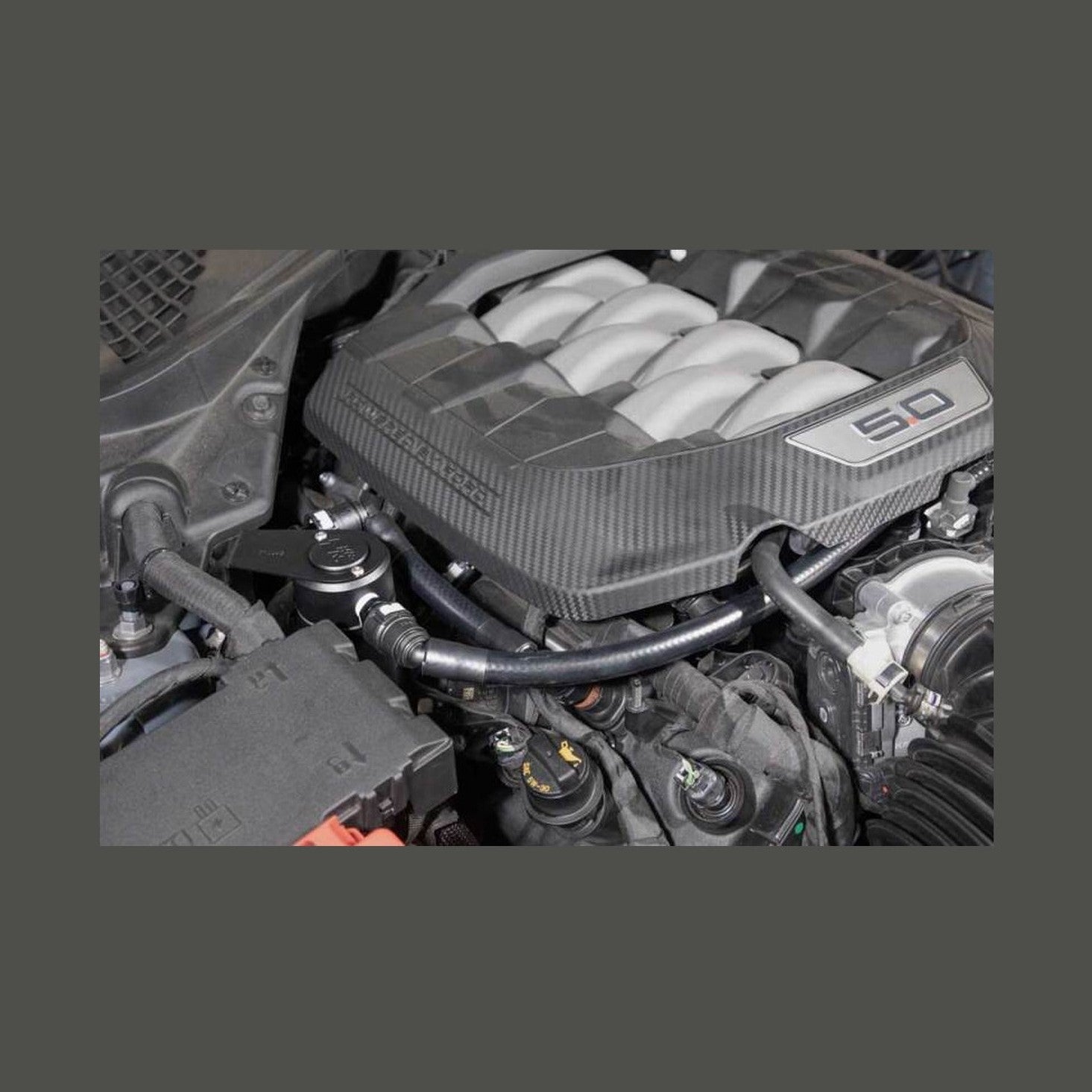 K&N Engineering K&N 2024 Ford Mustang Catch Can / Oil Separator, installed