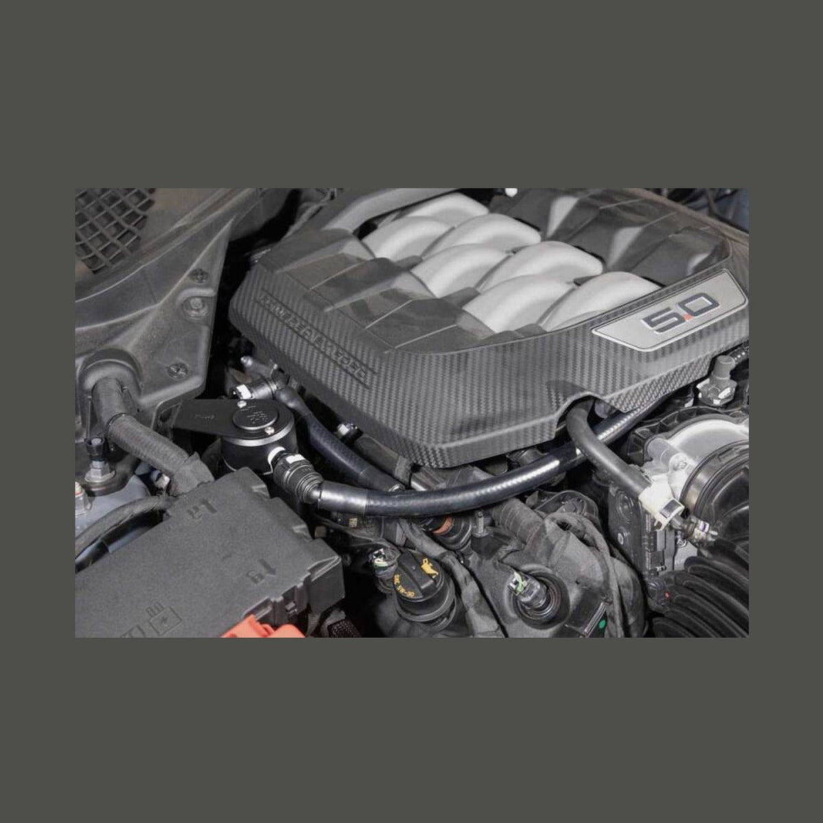 K&N Engineering K&N 2024 Ford Mustang Catch Can / Oil Separator, installed