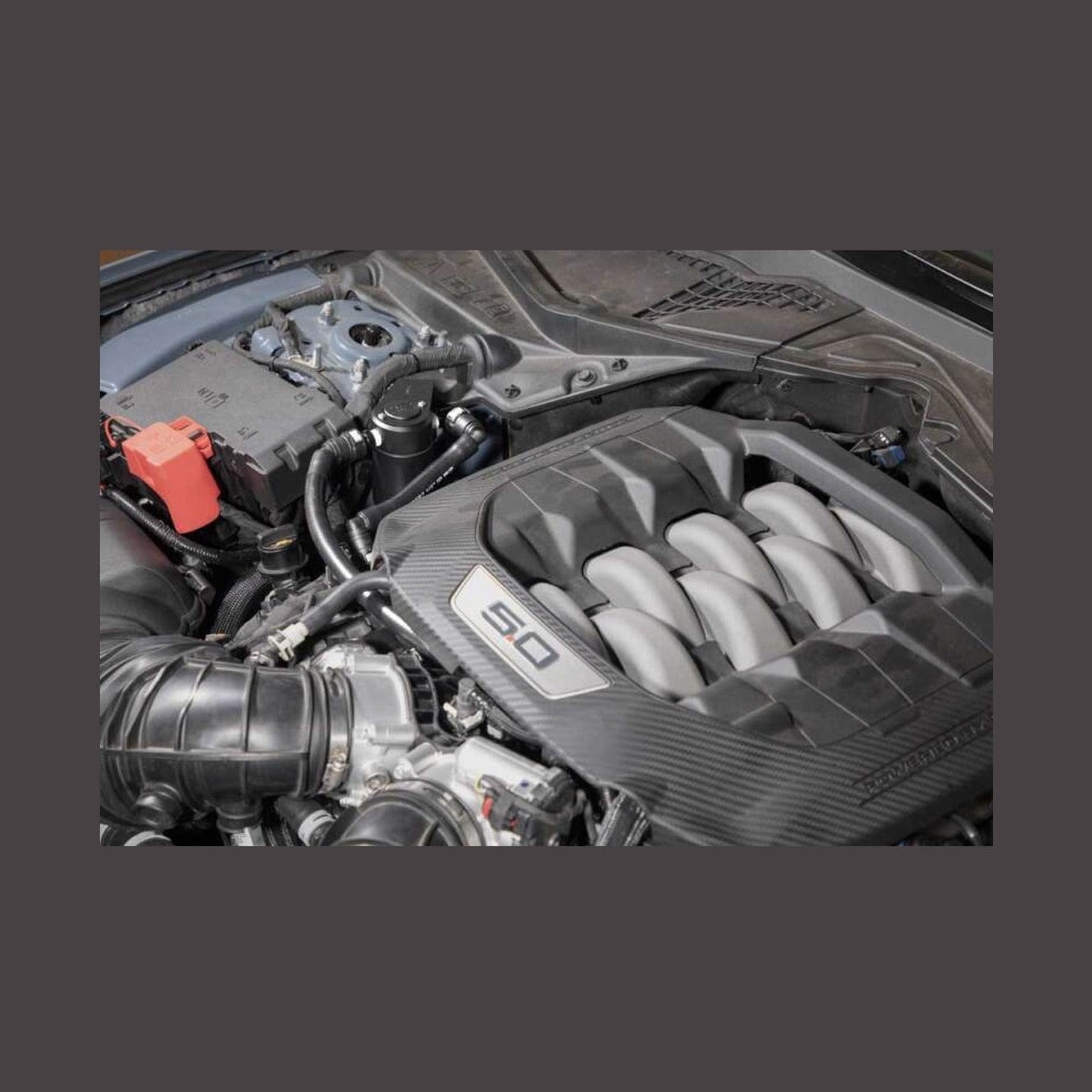 K&N Engineering K&N 2024 Ford Mustang Catch Can / Oil Separator, installed